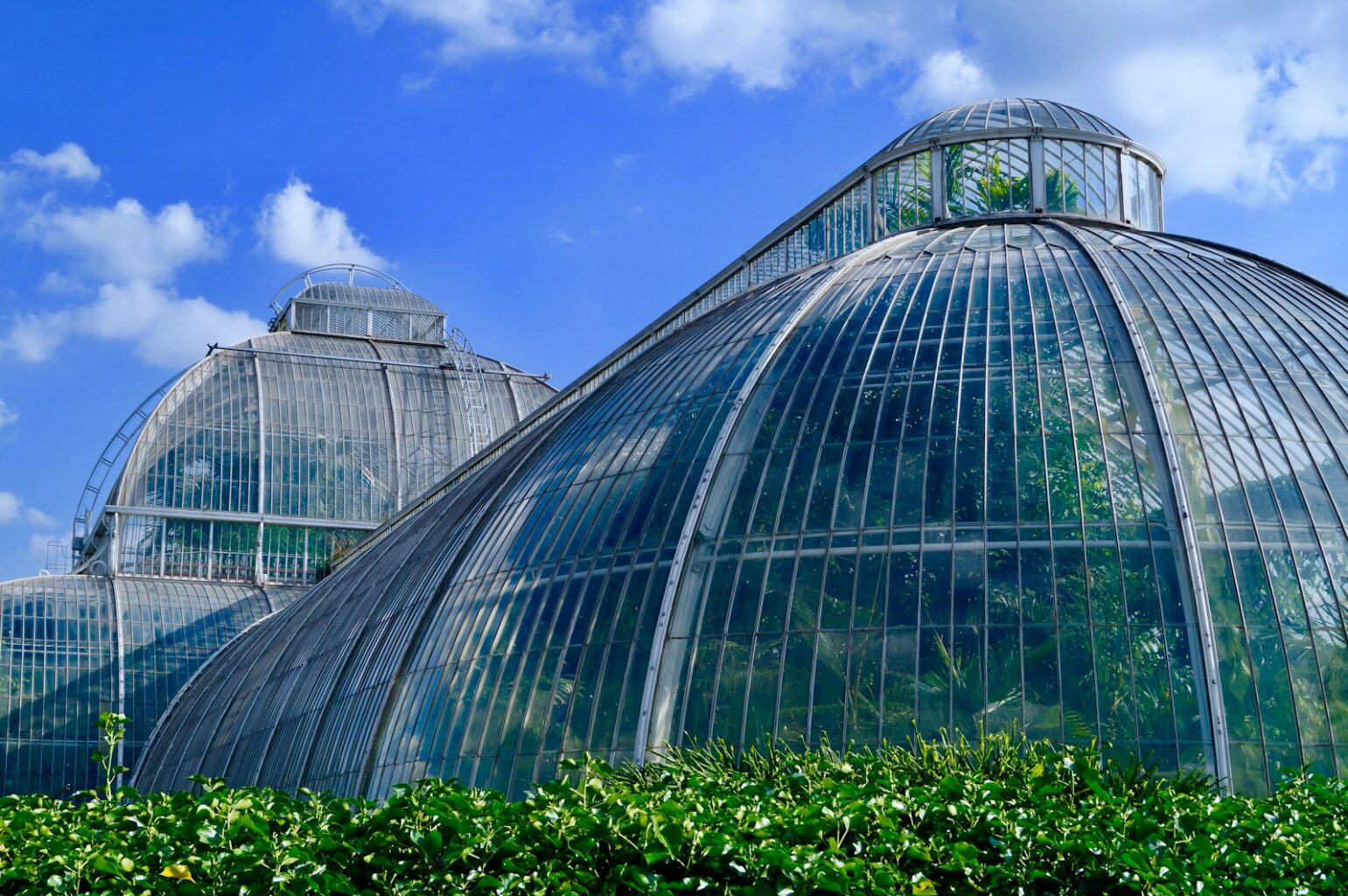 glass greenhouse